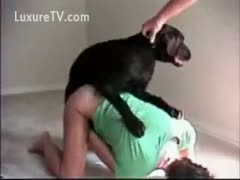 Guy holds dogs collar during the time that it copulates his girlfriend 